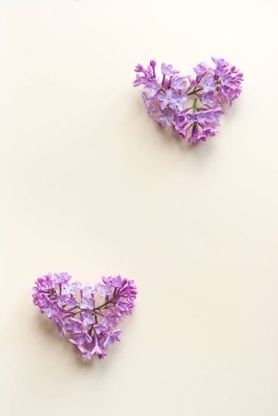 Güzel çiçek aranjmanı. Leylak çiçekleri, açık renkli arka planda yazı için boş alan. Düğün, doğum günü. Sevgililer Günü, Anneler Günü. Boşluğu kopyala