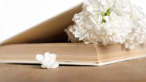 Bílé Květy Bílá Kniha Dřevěném Pozadí — Stock fotografie