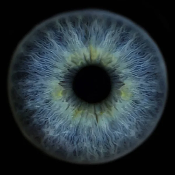 Красивый Крупный План Голубого Человеческого Глаза Медицинского Дизайна Концепция Здравоохранения — стоковое фото