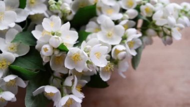 Güzel çiçek aranjmanı. Yasemin çiçekleri, açık renkli arka planda metin için boş alan. Düğün, doğum günü. Sevgililer Günü, Anneler Günü. Üst görünüm, alanı kopyala