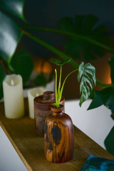 Naturaleza Muerta Con Velas Planta Verde Spa Zona Relajación — Foto de Stock