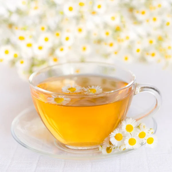 Chamomile herbal tea on a light pastel background. copy space