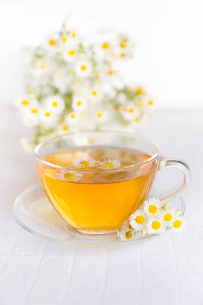 Chamomile herbal tea on a light pastel background. copy space