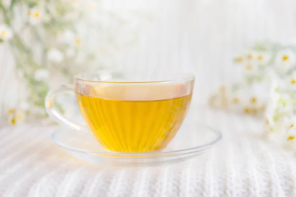 Chamomile herbal tea on a light pastel background. copy space