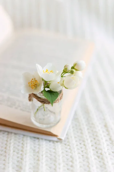 Крупним Планом Букет Білих Квітів Розмитій Скляній Вазі Відкритій Книзі — стокове фото