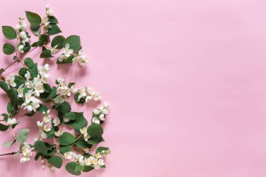 Güzel çiçek aranjmanı. Yasemin çiçekleri, açık renkli arka planda metin için boş alan. Düğün, doğum günü. Sevgililer Günü, Anneler Günü. Üst görünüm, alanı kopyala