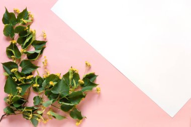 Güzel çiçek aranjmanı. Linden çiçekleri, açık renkli arka planda metin için boş alan. Düğün, doğum günü. Sevgililer Günü, Anneler Günü. Üst görünüm, boşluk kopyala