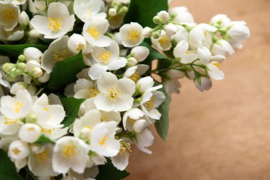 Güzel çiçek aranjmanı. Yasemin çiçekleri, açık renkli arka planda metin için boş alan. Düğün, doğum günü. Sevgililer Günü, Anneler Günü. Üst görünüm, alanı kopyala