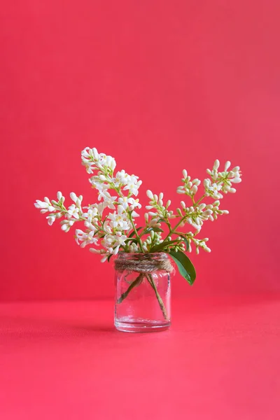 Primavera Colorido Fundo Floral Espaço Para Texto Design Decorativo Moda — Fotografia de Stock