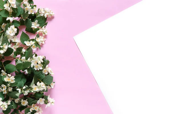 Schöner Blumenschmuck Jasminblüten Freier Raum Für Text Auf Hellem Pastellgrund — Stockfoto