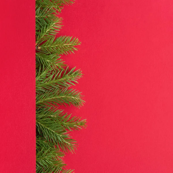 Natale Sfondo Rosso Rami Abete Verde Cornice Vista Dall Alto — Foto Stock