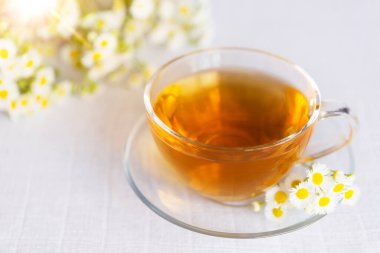 Hafif pastel arka planda papatya çayı. Boşluğu kopyala