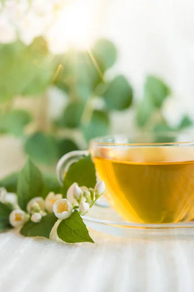 jasmine herbal tea on a light pastel background. copy space