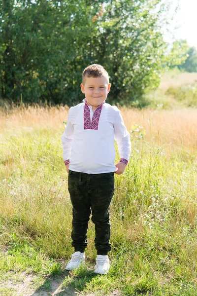 Портрет Радісного Хлопчика Українському Національному Одязі Вишванка Зеленому Тлі Вулиці — стокове фото