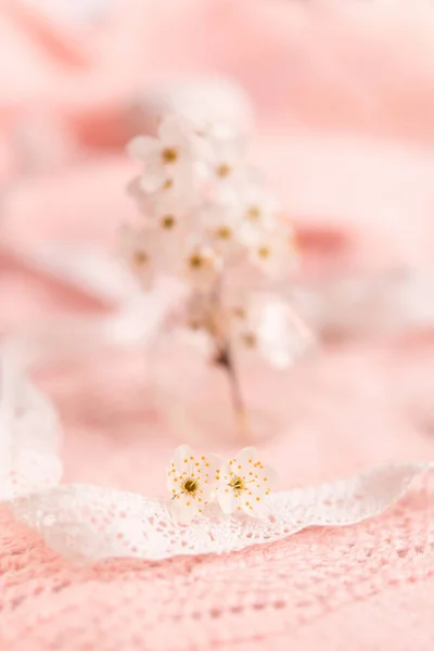 Frühling Hintergrund Mit Einem Schönen Rosa Blühenden Zweig Pastellrosa Hintergrund — Stockfoto