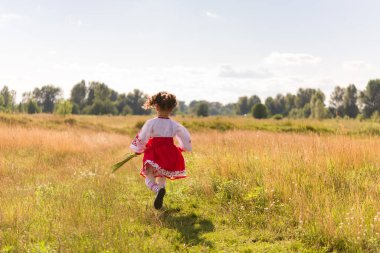 Ulusal Ukrayna kıyafetleri içinde küçük bir kız - vyshyvanka. Ukrayna, alan