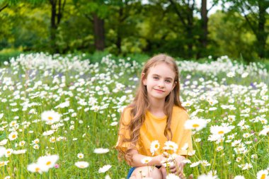 Güzel kız eğleniyor ve yeşil bir yaz parkında bahçede yürümekten hoşlanıyor. Papatya Alanı.