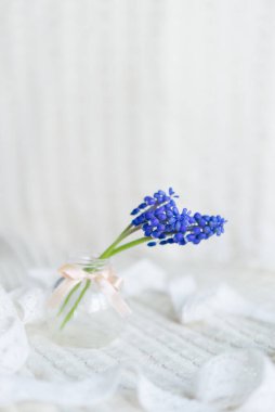 Narin pastel arka planda küçük mor çiçekli üç dal.