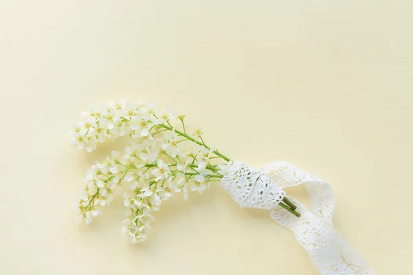 Drei Zweige Blühender Weißer Vogelkirsche Auf Schlichtem Zartem Pastell Hintergrund — Stockfoto