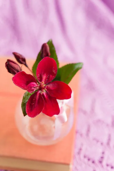 Παλιό Βιβλίο Κόκκινα Μικρά Λουλούδια Λιλά Openwork Φόντο Close — Φωτογραφία Αρχείου