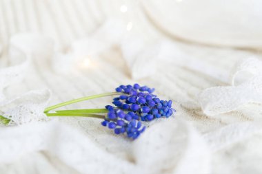 Narin pastel arka planda küçük mor çiçekli üç dal.