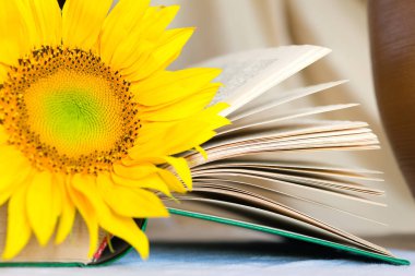 Eski bir çömlek içinde bir buket ayçiçeği. Ön planda açık bir kitap ve bir çiçek var..