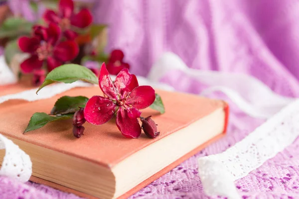 Old Book Red Small Flowers Lilac Openwork — Photo