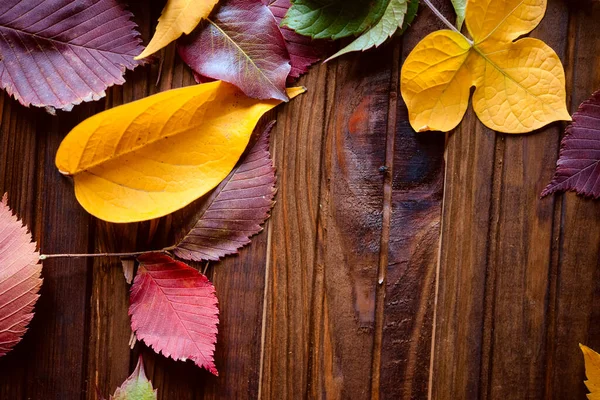 Autumn frame for your idea and text. Autumn fallen dry leaves of yellow, red, green color, laid in the center of the frame on an old brown wooden board.