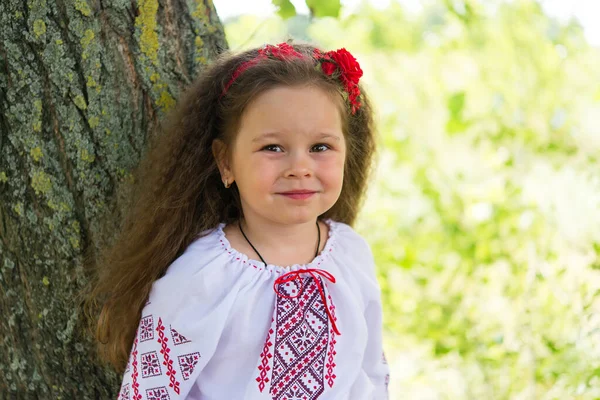 Little Girl National Ukrainian Clothes Vyshyvanka Ukraine Child Nature — Stok fotoğraf