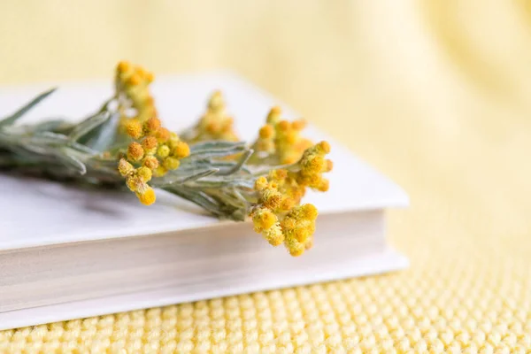 yellow flower in a white book on a yellow knitted background