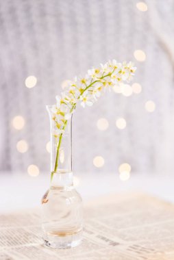 Yanında güzel beyaz kirazlı cam vazo, gazete. Bokeh ile birlikte hafif kartpostal arkaplanı.
