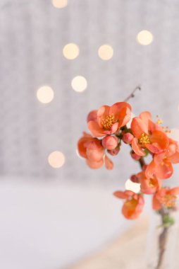 Güzel turuncu çiçekli cam vazo, yanında gazete. Bokeh ile birlikte hafif kartpostal arkaplanı.