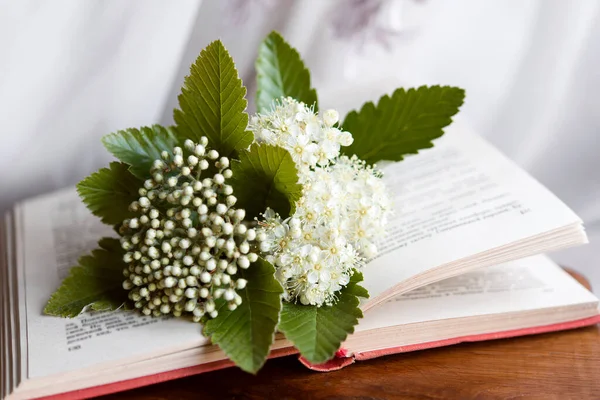 Open book with flowers. selective focus.