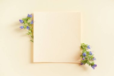 Beautiful flower arrangement. Bright purple flowers, free space for text on a light pastel background. Wedding, birthday. Valentine's day, mother's day. Top view, copy space