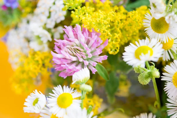 Summer blooming delicate flowers, rich bright bouquet and delicate floral card