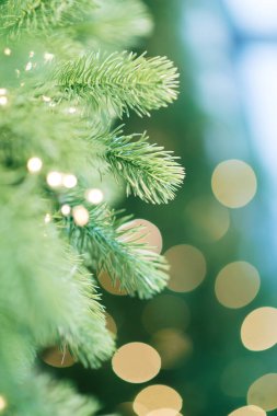 Noel arkaplanı, çam dalları şenlikli arka plan. Sınır ve kopyalama alanı ile yaratıcı bileşim. Ampullerden gelen bokeh ışıklarıyla Noel süslemesi