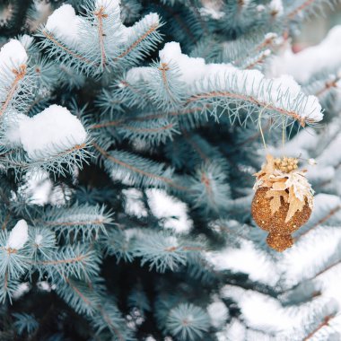 Yeni yıl oyuncaklarıyla Noel ağacının dalları karla kaplıdır. Yeni yıl kutlaması ve Noel geçmişi. Canlı ladin. Karla kaplı çam ağaçları ile aydınlık kış manzarası.