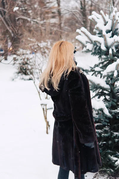冬服の女性が公園の路地を歩き冬の日雪の中の木 — ストック写真