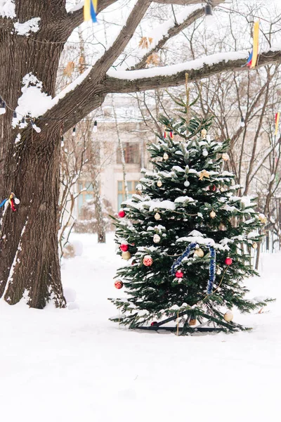 Parkta Karla Kaplı Ağaçlarla Kaplı Güzel Kış Manzarası — Stok fotoğraf