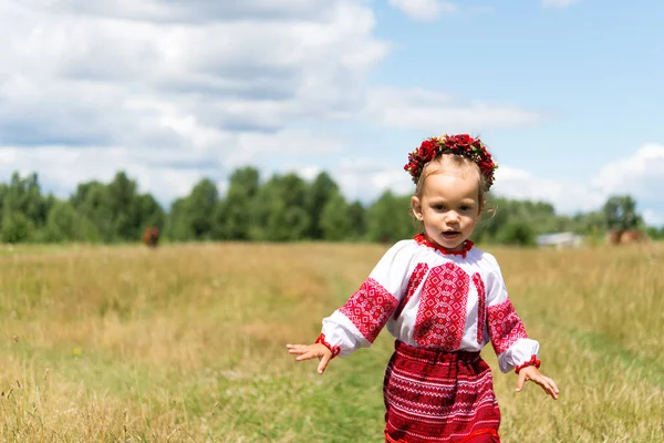 Маленька Дівчинка Національному Українському Одязі Вишванка Україна Дитина Природі — стокове фото