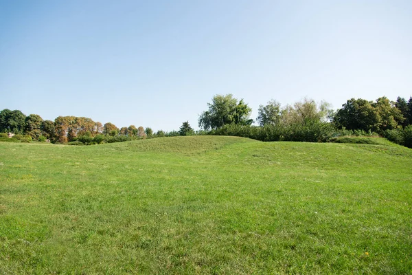 Parco Verde Paesaggio Con Erba Cielo — Foto Stock