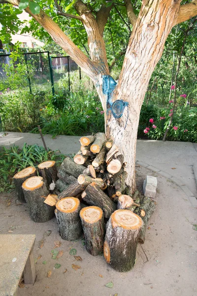 Bahçede Yakacak Odun Eski Bahçe Ağaçları Yakacak Odun — Stok fotoğraf