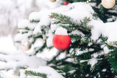 Yeni yıl oyuncaklarıyla Noel ağacının dalları karla kaplıdır. Yeni yıl kutlaması ve Noel geçmişi. Canlı ladin. Karla kaplı çam ağaçları ile aydınlık kış manzarası