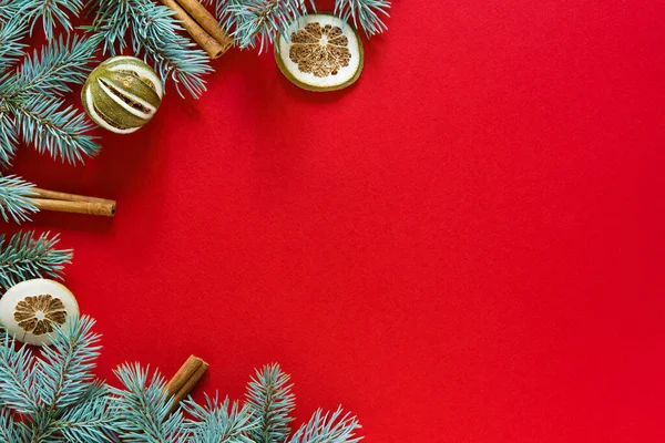 Christmas Decor Red Background Fir Branches Cinnamon Lime Dried Top — Foto de Stock
