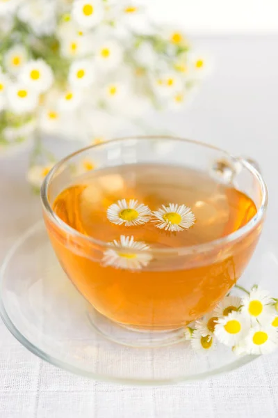 Xícara Chá Ervas Com Flores Camomila — Fotografia de Stock