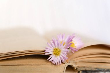 Beyaz örülmüş bir arka planda açık bir kitabın üzerindeki bir buket küçük mor çiçeğin yakın çekimi. Yavaş yaşam konsepti. Sıcak, sıcak bir arka plan..