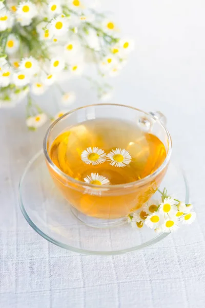 カモミールの花とハーブティーのカップ — ストック写真