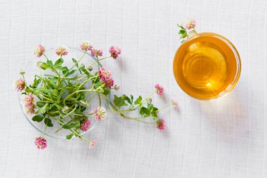 Hafif pastel arka planda bitki çayı. Boşluğu kopyala