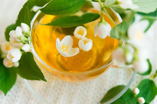 Xícara Chá Ervas Com Flores Jasmim Fundo Malha Quente Branco — Fotografia de Stock