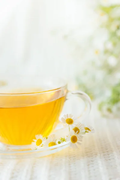 Tasse Tisane Avec Des Fleurs Camomille — Photo